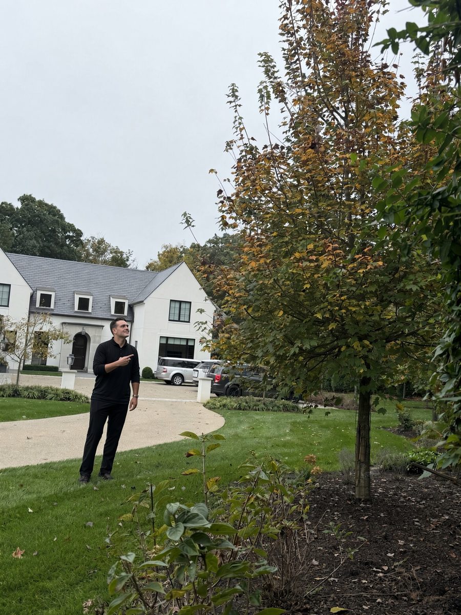 Damon Coon of Pink Tree Care on a front lawn, pointing up at a maple with a house and driveway behind